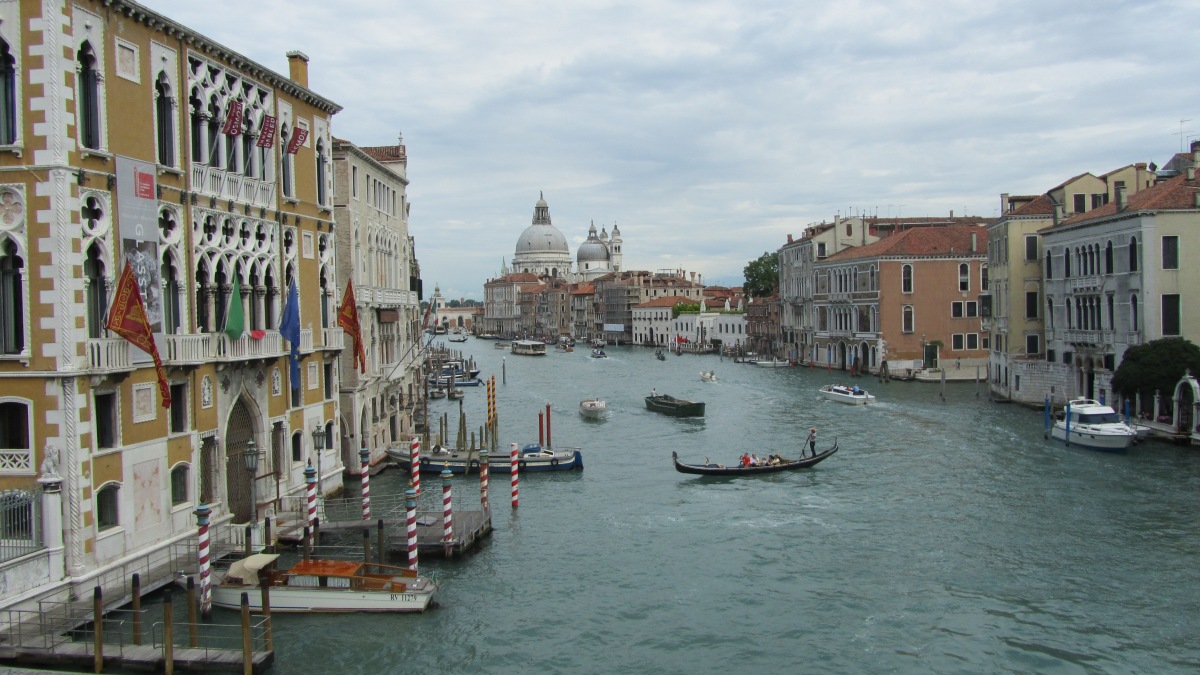 Venezia major